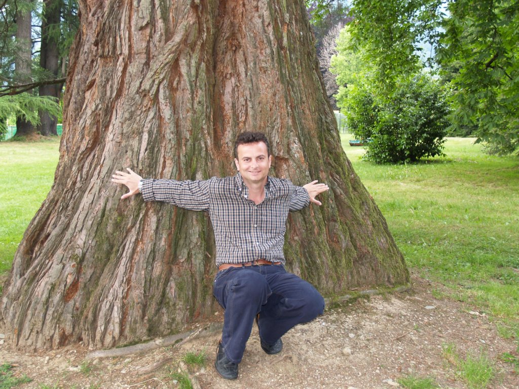 seguoiagigante.jpg